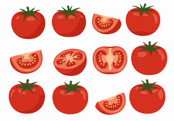Vector illustration set of fresh tomatoes, whole, cut in half, and quarter slices, isolated on white background.