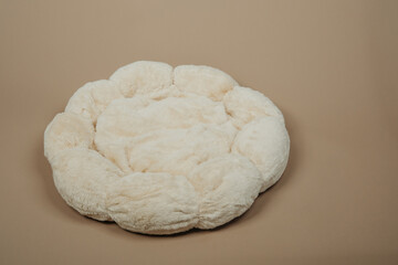 Beige dog bed on  a beige backdrop
