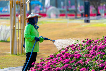 Gardener worker watering the flower trees in flower garden at natural public park.