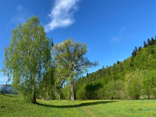 Dolina Popradu, wiosna zieleń, spokój, relax
