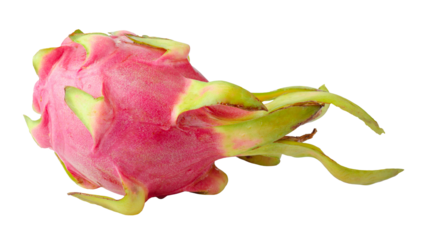 Fresh red dragon fruit whole isolated on a transparent background