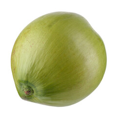 green coconut isolated on a transparent background