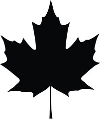 maple leaf, silhouette, black, minimalist, simple, graphic design, clean, elegant, monochrome
