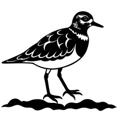 Fototapeta premium Stylized black and white illustration of a shorebird standing on wavy ground