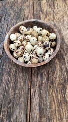 quail eggs glut