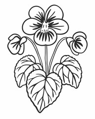 Elegant black and white line drawing of a blooming violet flower with leaves and buds