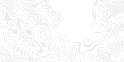 Abstract topography pattern seamless lines sea map modern design white background. Abstract digital topographic contour map concept space geometric strip grid line. Natural discovery of maps.	
