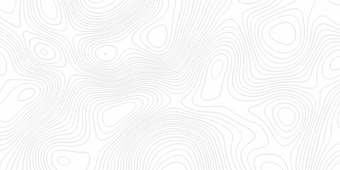 Abstract topography pattern seamless lines sea map modern design white background. Abstract digital topographic contour map concept space geometric strip grid line. Natural discovery of maps.	
