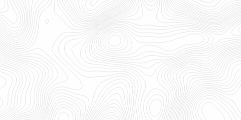 Abstract topography pattern seamless lines sea map modern design white background. Abstract digital topographic contour map concept space geometric strip grid line. Natural discovery of maps.	
