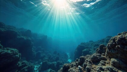Obraz premium Sunlit Ocean Depths A Breathtaking View of Thriving Underwater Biodiversity