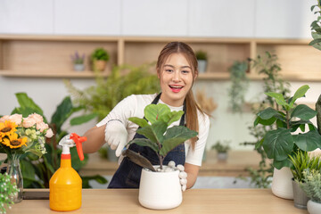 Indoor Gardening and Plant Care. Young woman nurturing plants in a bright, modern environment.
