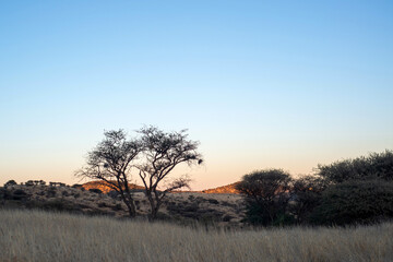 Paysage au lever du jour dans le centre de la Namibie