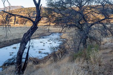 Rivière au lever du jour dans le centre de la Namibie