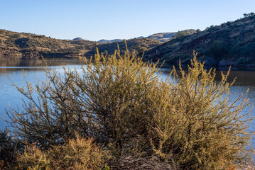 Lac dans le centre de la Namibie