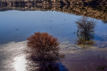 Lac dans le centre de la Namibie