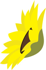 Beautiful sunflower illustration 