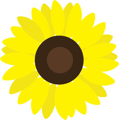 Beautiful sunflower illustration 