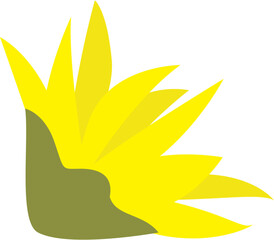 Beautiful sunflower illustration 