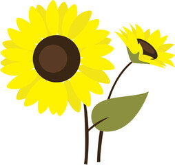 Beautiful sunflower illustration 