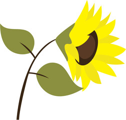 Beautiful sunflower illustration 