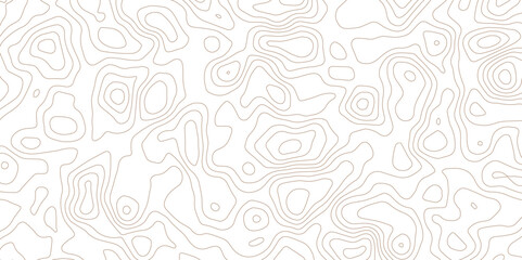 Clean Terrain Contour PNG Texture with Minimalist White Topographic Background.