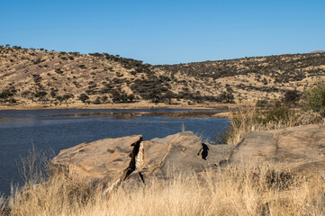 Lac dans le centre de la Namibie durant l'hiver austral