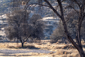 Paysage du centre de la Namibie 