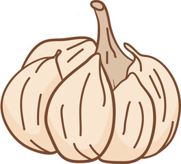 onion isolated on white