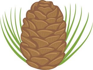 vector illustration of pine cone