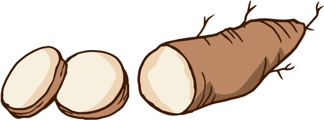 vector illustration of a coffee beans