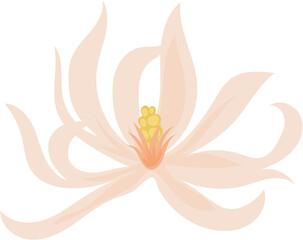 vector illustration of an abstract flower