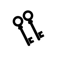 Key Pair Icon Vector in Flat and Clean Isolated Design