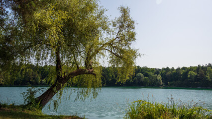Beautiful place at a lake in summer in austria, europe
