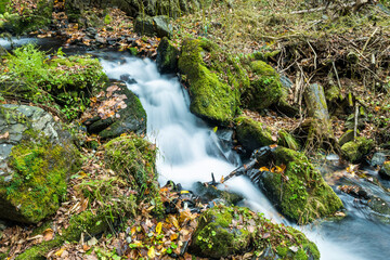 Mossy rocks in stream with smooth flowing water