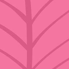 Red seaweed Underwater botany Marine life plant isolated on pink background