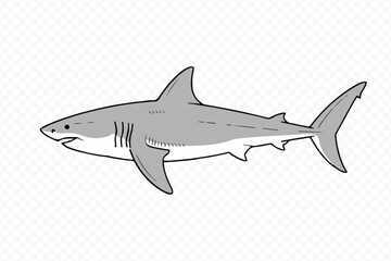 realistic shark vector design ideal for ocean-themed logos, wildlife branding, sea life posters and aquatic art prints