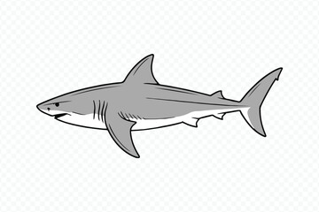 minimalistic shark vector drawing suited for marine biology illustrations, environmental campaigns and predator anatomy studies