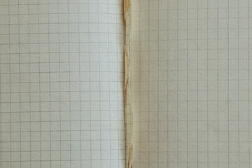 Old squared notebook with torn sheets, space for text, school