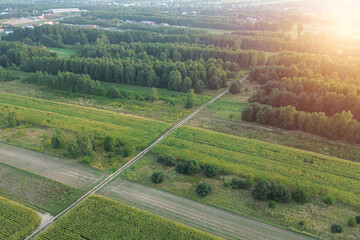 Unpaved trail in forest and farmland area