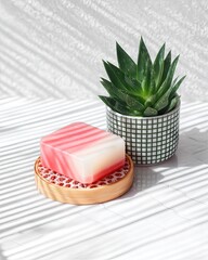 Pink and White Striped Soap on Wooden Loofah with Succulent Plant