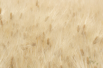 夏の景色