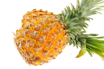 Pineapple on white background