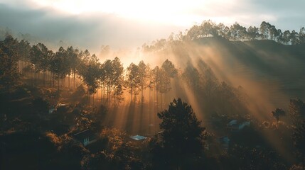 Whispers of dawn through misty forest trees a serene landscape bathed in golden light during a quiet sunrise with warm