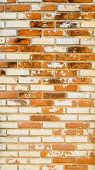 old orange   wall in the temple