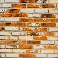old orange   wall in the temple