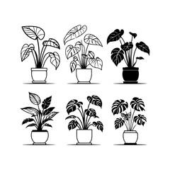 Silhouette design elements for design universal template, simple template design isolated on white background.