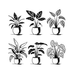 Silhouette design elements for design universal template, simple template design isolated on white background.

