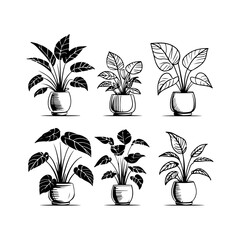 Silhouette design elements for design universal template, simple template design isolated on white background.
