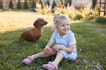three year old girl, playing with her dog dachshund on a green grass in a park