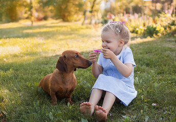 three year old girl, playing with her dog dachshund on a green grass in a park